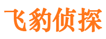 禹王台外遇调查取证